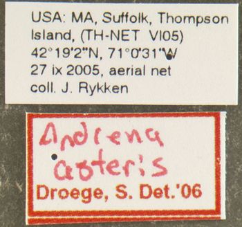 Media type: image; Entomology 609436   Aspect: labels